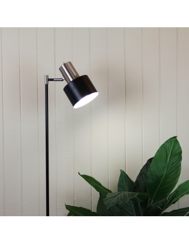 SL98787BC - Ari Floor Lamp Black With Brushed SL98787BC