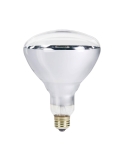 Heat Lamp Globes