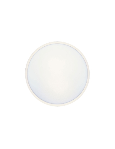 SKY OY30.3C3D-WH - SKY 30 ROUND OYSTER - WHITESKY OY30.3C3D-WH