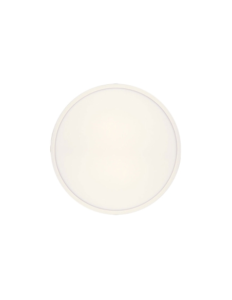SKY OY30.3C3D-WH - SKY 30 ROUND OYSTER - WHITESKY OY30.3C3D-WH