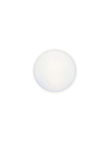 SKY OY23.3C3D-WH - SKY 23 ROUND OYSTER - WHITESKY OY23.3C3D-WH