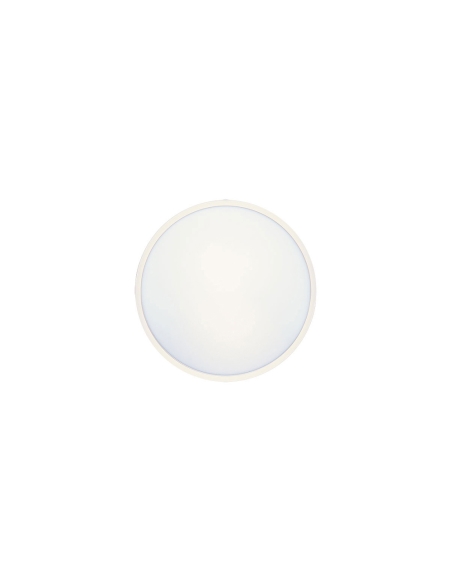 SKY OY23.3C3D-WH - SKY 23 ROUND OYSTER - WHITESKY OY23.3C3D-WH