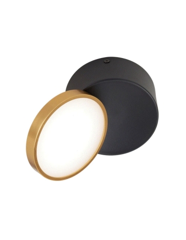 Netra LED Surface Mounted Downlight Black Gold 3 CCT - NETRA DL15-BKGD
