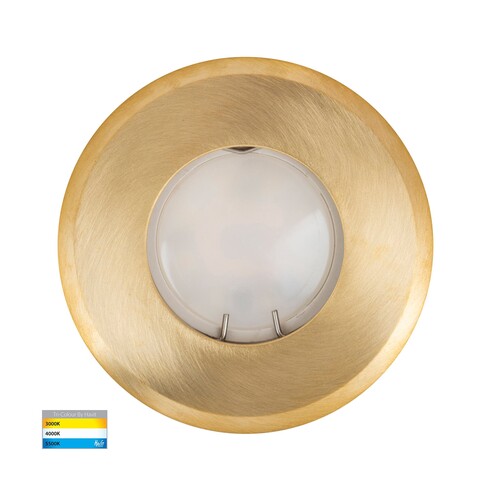Ollo Brass TRI Colour LED Wall or Inground Light