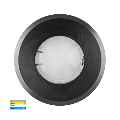 Ollo Graphite Coloured Brass TRI Colour LED Wall or Inground Light