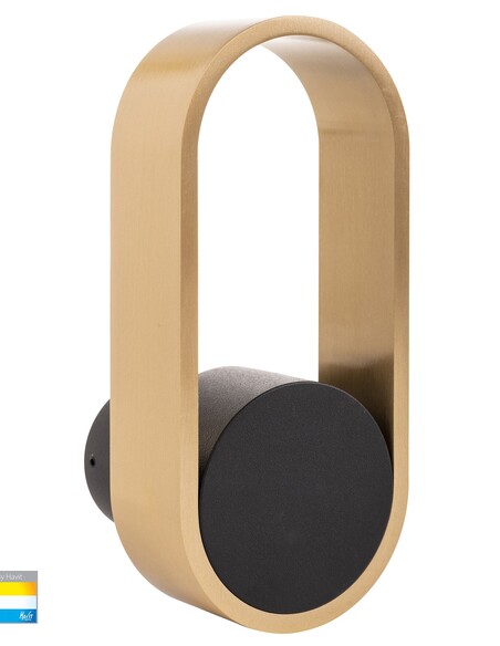 OVALE Black + Brass Indoor Wall Light - HV8080T-BLKBR