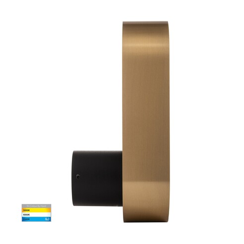 HV8080T-BLKBR - Ovale Black + Brass Wall LightHV8080T-BLKBR