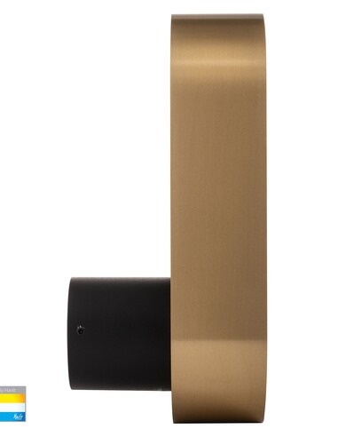 OVALE Black + Brass Indoor Wall Light - HV8080T-BLKBR