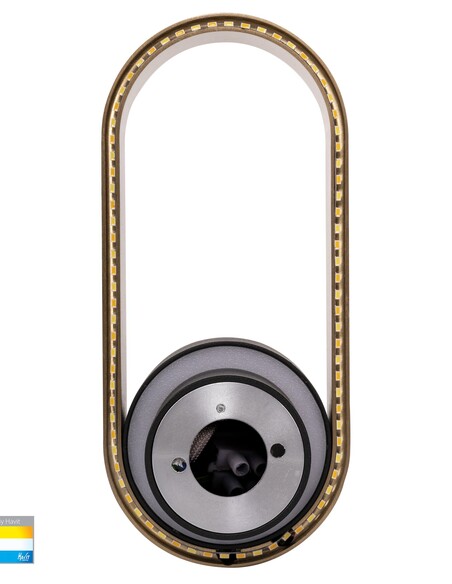OVALE Black + Brass Indoor Wall Light - HV8080T-BLKBR