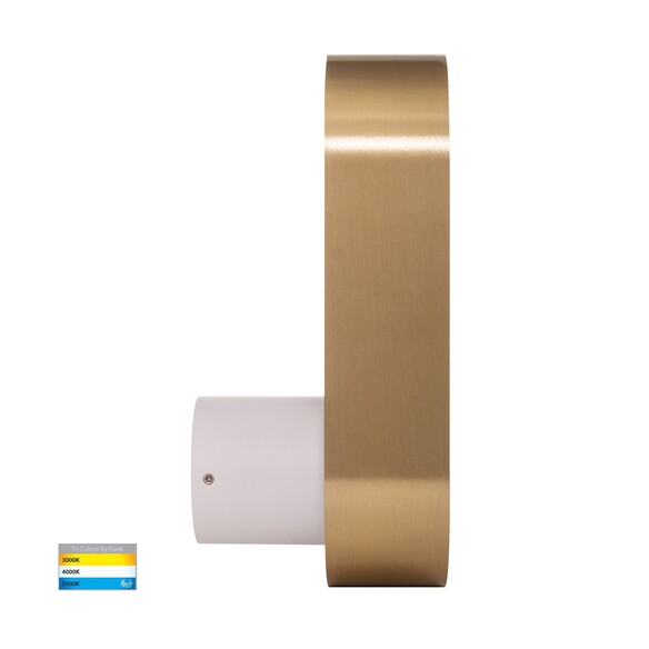 HV8080T-WHTBR - Ovale White + Brass Wall LightHV8080T-WHTBR