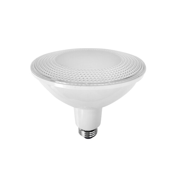PAR3801 - LED PAR38 Globes IP65 (15W)