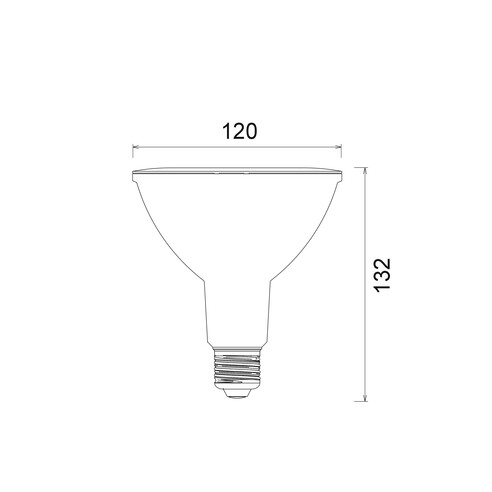 PAR3801 - LED PAR38 Globes IP65 (15W)PAR3801