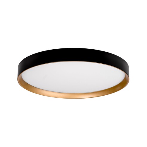 HV5865-2-BLKGLD - Auster Black & Gold Trim to HV5865-2-BLKGLD