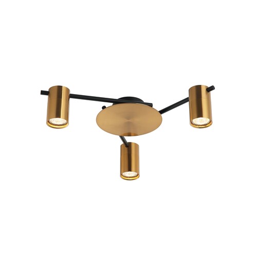 Interior Spot Ceiling Lights (with Adjustable Antique Brass Heads) IP20