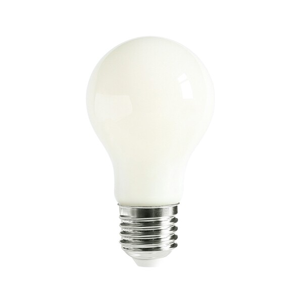 GLS38D - GLS LED Filament Dimmable Globes Frosted GLS38D