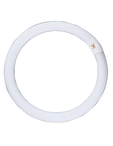 Circular Fluorescent Globe G10Q T9 22 watt Triphos 5000K Diameter 209mm 1250 Lumens - Natural White