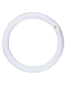 Circular Fluorescent Globe G10Q T9 22 watt Triphos 5000K Diameter 209mm 1250 Lumens - Natural White