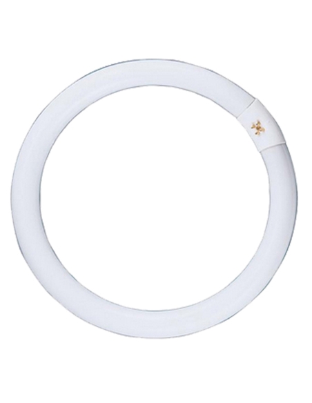 CLAFCL22WWW - T9 Circular Fluorescent Globes
