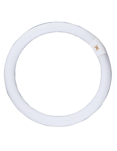 CLAFCL40WNW - T9 Circular Fluorescent GlobesCLAFCL40WNW