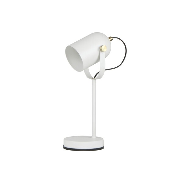 TAZZA-T3 - TAZZA Ellipse Shade with Antique Brass TAZZA-T3