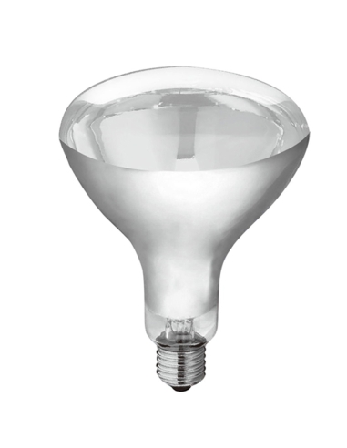 CLAHL150W - Heat Lamp GlobesCLAHL150W