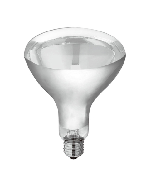 CLAHL150W - Heat Lamp Globes