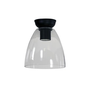 OL2258BK - WARWICK Black with Clear Glass DIYOL2258BK
