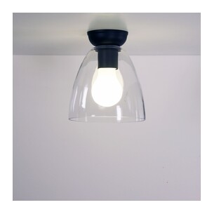 OL2258BK - WARWICK Black with Clear Glass DIYOL2258BK 2