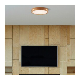 THALIA OY40-WD3C - THALIA 24W LED OYSTERTHALIA OY40-WD3C 2