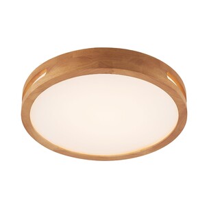 THALIA OY50-WD3C - THALIA 36W LED OYSTERTHALIA OY50-WD3C