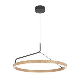 TRUVON PE60-BK - TRUVON 60 PENDANT - BLACKTRUVON PE60-BK