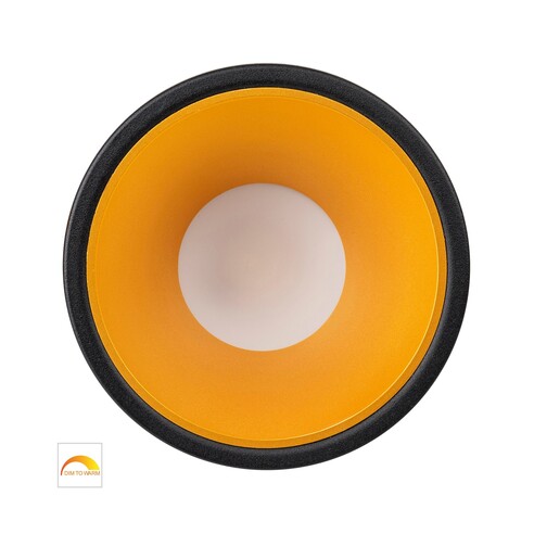 HV5528D2W-BG - Gleam Black with Gold Insert Fixed HV5528D2W-BG
