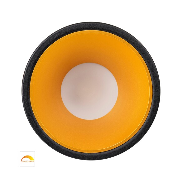 HV5528D2W-BG - Gleam Black with Gold Insert Fixed HV5528D2W-BG