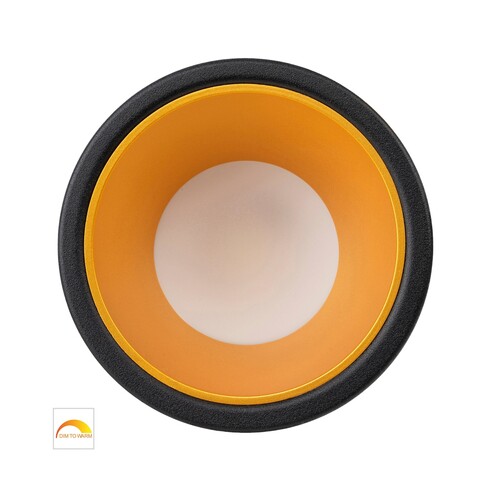 HV5529D2W-BG - Gleam Black with Gold Insert Fixed HV5529D2W-BG