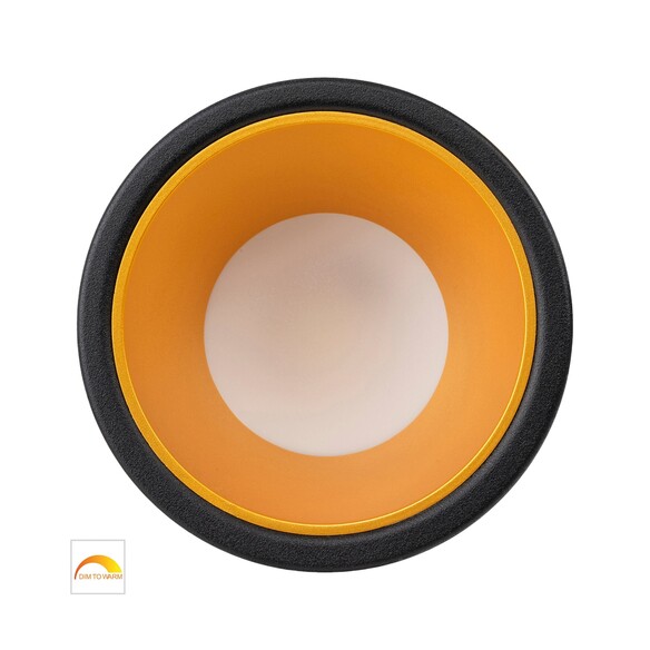 HV5529D2W-BG - Gleam Black with Gold Insert Fixed HV5529D2W-BG