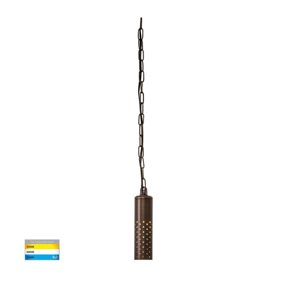 HV5901T-AB-240V - HV5901T-AB-240V | HV5901T-AB-12V - Willow Antique Brass LED Pendant