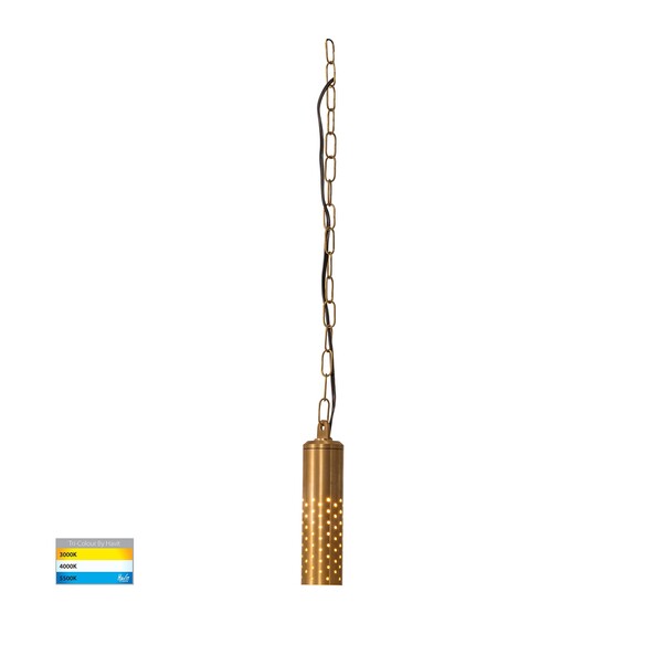 HV5901T-BR-240V - Willow Solid Brass LED Pendant