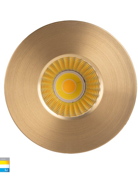 HV5511T-BR - Prime Brass Coloured Fixed LED HV5511T-BR