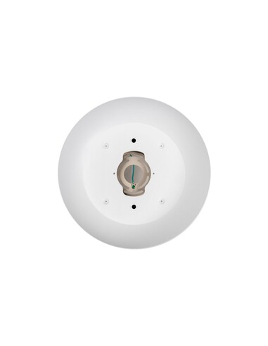 HV5863-3-WHTGLD - Auster White & Gold CTC Trim to HV5863-3-WHTGLD