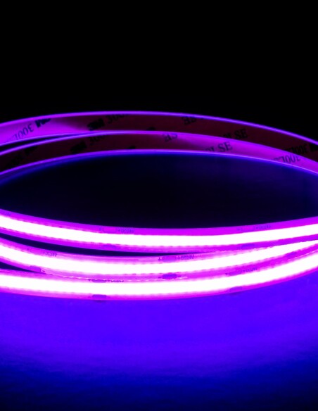 HV9761-IP54-320-V - 9.6W IP54 24v DC Violet COB Dotless LED Strip