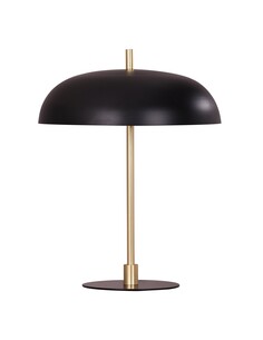 PARAGUAS-T1 - Interior Black Dome Shade with Brass Rod PARAGUAS-T1