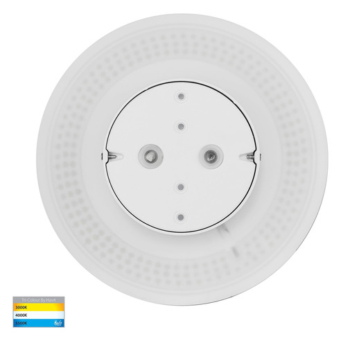 HV3593T-WHT - HV3593T-White - Halo White TRI HV3593T-WHT