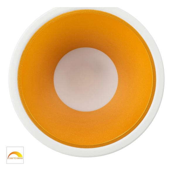 HV5528D2W-WG - Gleam White with Gold Insert Fixed HV5528D2W-WG