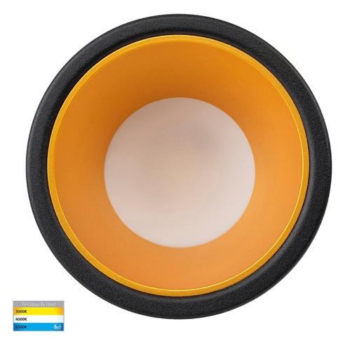 HV5529T-BG - Gleam Black with Gold Insert Tri HV5529T-BG