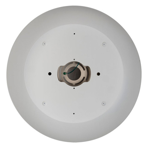 HV5864-3-WHTGLD - Auster White & Gold CTC Trim to HV5864-3-WHTGLD