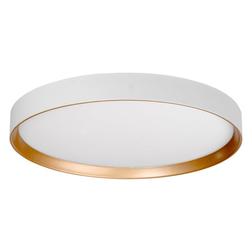 HV5865-2-WHTGLD - Auster White & Gold Trim to HV5865-2-WHTGLD