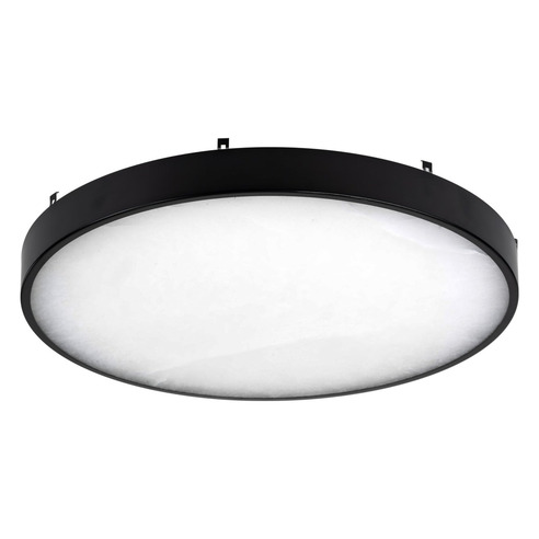HV5865-4-BLKALB - Auster Black Trim with HV5865-4-BLKALB