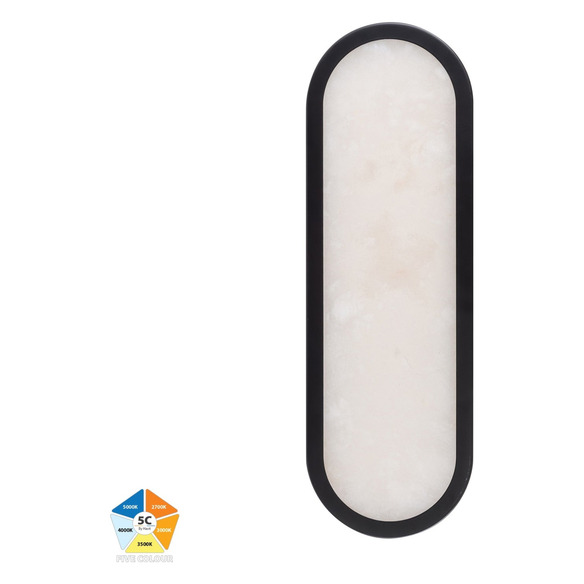 HV8011S-BLKALB - Auster Black with Alabaster Glass Wall Light
