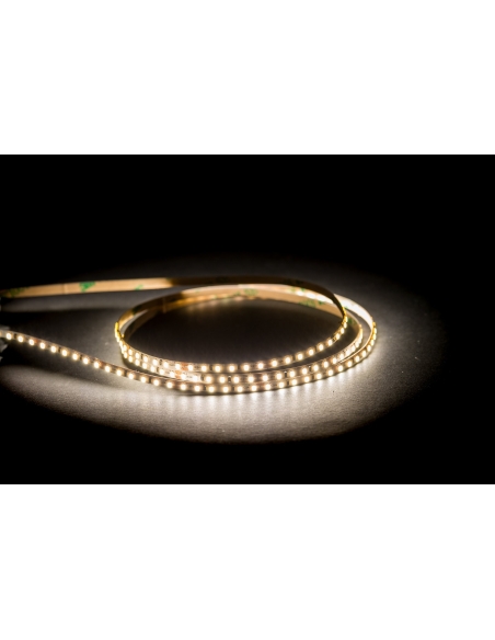 HV9735-IP20-240-5K - 19.2W IP20 Micro LED Strip 5500K