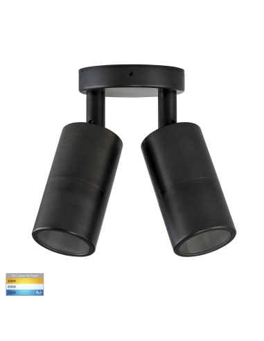 HV1395T - Double Adjustable Wall Pillar Light HV1395T